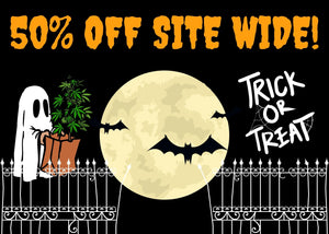 HALLOWEEN SALE IS LIVE + PRICE DROPS + FREE GUMMIES!