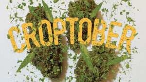 30% OFF CROPTOBER SALE STARTS TODAY!!!