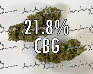 21.8% CBG Flower NOW IN STOCK!!!