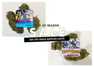 $420 LBS of Paradise OG and Desert Snow now on sale!