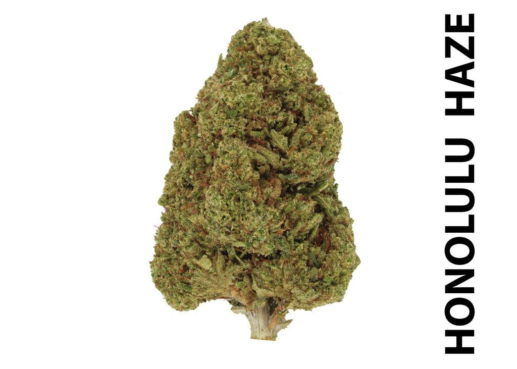 FRESH BULK CBD FLOWER NOW IN STOCK!!!